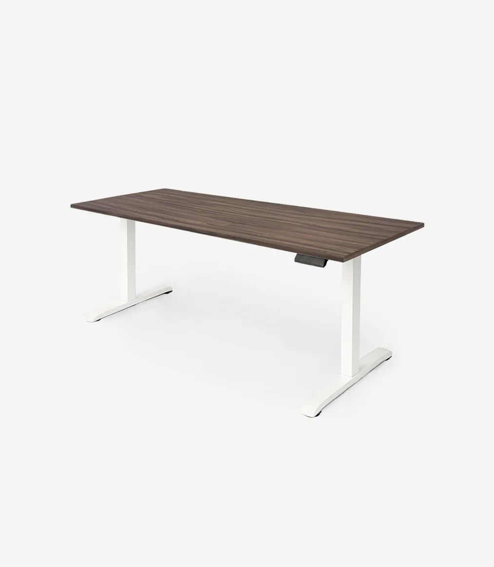 Smart Desk 2  motores